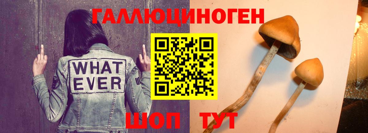 Галлюциногенные грибы Psilocybe  Псилоцибиновые грибы мухоморы  Кунгур  Вход с VPN 